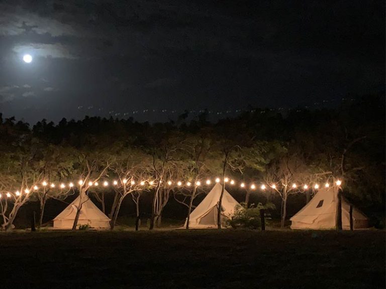 Accommodation Glamping Night View Gallery4
